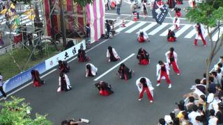 鴨っ子魂　～2011高知よさこい祭り・本祭２日目(追手筋競演場(南))