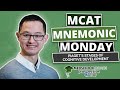 Piagets Stages of Cognitive Development : MCAT Mnemonic (Ep. 24)