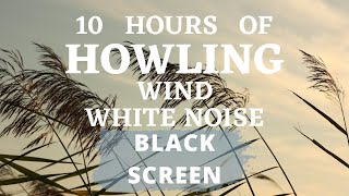 Strong Howling Wind During Cold Winter Snowstorm Blizzard, 10 Hours Black Screen White Noise Sleep