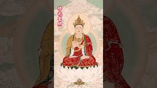 南無阿彌陀佛 許個願吧 心誠則靈 有求必應 #南無阿彌陀佛 #NamoAmitabha #나모아미타불 #南無阿弥陀仏 #नमोअमिताभ #修心 #佛 #shorts #佛教