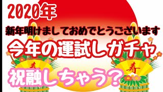 【ミラージュメモリアル】mirage memorial  新年の運試し！新キャラ引いたるどぉ！！