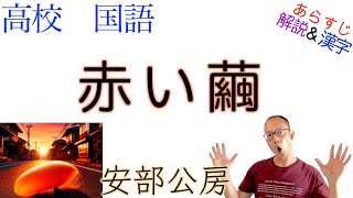 赤い繭【文学国語・論理国語】教科書あらすじ&解説&漢字〈安部 公房〉