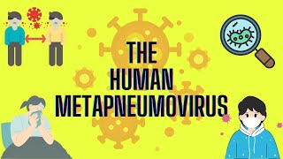 New Virus!!!??? | Learn More About The Human Metapneumovirus (HMPV)