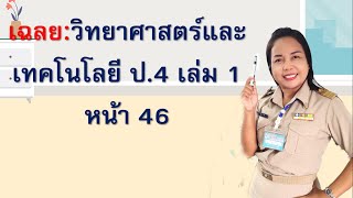 เฉลย:วิทยาศาสตร์และเทคโนโลยี ป.4 เล่ม 1 หน้า 46