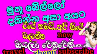 travel shenu sl,other introduction ,මුතු බෙල්ලෝ දකින්න ලස්සන,#sinhala #2021 #shenu #flower #english