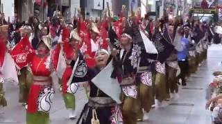 高知よさこい祭り2016　本祭一日目　さぬき舞人　帯屋町演舞