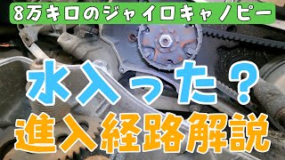 ８万キロのジャイロキャノピーの駆動系整備！水が入った形跡あり！解説します。株式会社WINGオオタニ