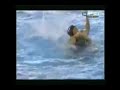 waterpolo fights