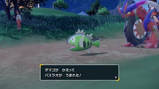 【ポケモンSV】ヒスイバスラオ　色違い【国際孵化】