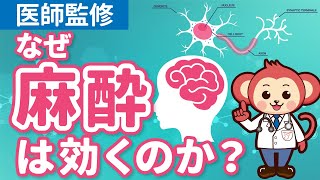 麻酔が効く仕組みを医師監修アニメーションで解説