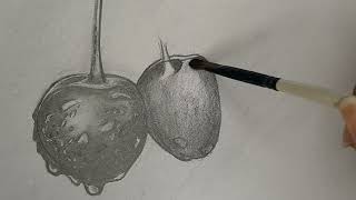 How To Draw Realistic Cherries By Pencil| hyper realistic drawing by pencil