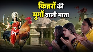 किन्नरों की कुलदेवी है उनकी मुर्गो वाली माता, क्यों खिलजी भागा था यहाँ से ?