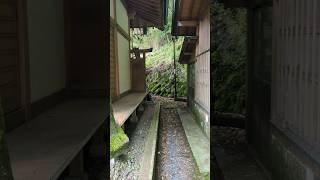 20240506ゴールデンウィーク最終日　神奈川県箱根湯本　熊野神社の石燈籠、本堂　周囲の風景　熊野速玉大神　惣湯　ゆや権現　#箱根湯本#熊野神社#熊野速玉大神#惣湯#ゆや権現#本堂#石燈籠