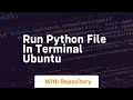 run python file in terminal ubuntu