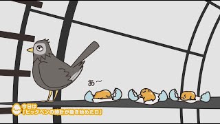 ぐでたまアニメ　第1314話　公式配信