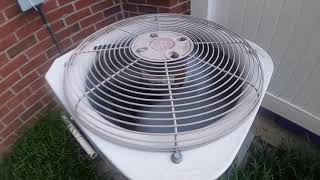 2003 Bryant 561C air conditioner starting up and running