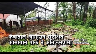 फेवाताल जोगाउन संरक्षित कोमागाने पार्क नै अतिक्रमणमा