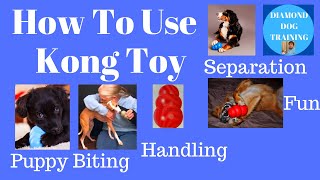 How To Use Kong Classic Toy/ Best Kong Stuffing And Uses For Kong
