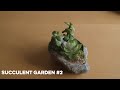 new pangea succulent garden