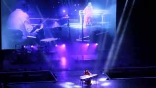 Elisa Concerto Arena di Verona 27/09/2014