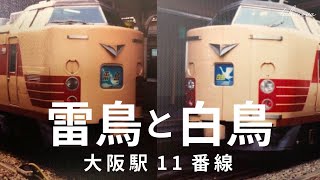 485系雷鳥と白鳥 思い出トーク