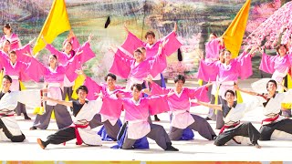 [4K] 岐阜大学騒屋　にっぽんど真ん中祭り 2023 どまつり 日曜日 (中央)