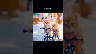 cat shorts |new whatsapp status #shorts #shortsfeed #viral #123 #123go #tiktok #kitten #style #happy