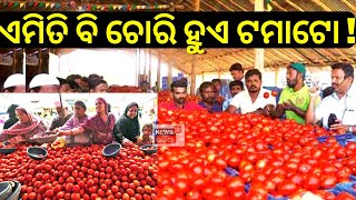 Tamato Price Hike | ଏମିତି ବି ଚୋରି ହୁଏ ଟମାଟୋ ! ଦେଖନ୍ତୁ Video|Tomato Rate Increase|Inflation|Cuttack