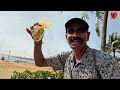 ep 2 exploring colombo sri lanka l colombo tourist places l colombo budget tour l colombo trip l