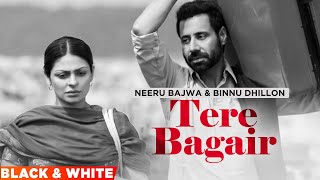 Tere Bagair (Official B&W Video)| Amrinder Gill | Neeru Bajwa | Binnu Dhillon| New Punjabi Song 2022