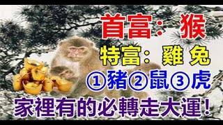 9月：生肖（猴雞兔豬鼠虎）必轉走大運、得菩薩保佑！一生富貴、平安順遂【人生感悟】