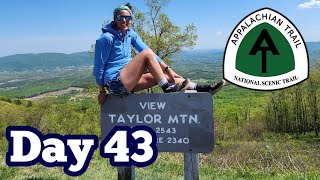 Hiking 28 Miles Along The Blue Ridge Parkway (lots of trail magic! \u0026 Cody says goodbye😥) | AT 2023