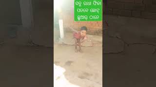 ଛୋଟ ଛୁଆର କମାଲ ଠୁମକା,