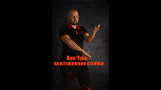 Wing Chun Stikhiya.  Обучение Вин Чунь.  Что является основой Вин Чунь?