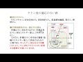 第1回　免疫栄養ケトン食入門講座　ケトン体の生理学とケトン体の出し方