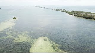 Kiteboarding on the West Side of Skyway Bridge