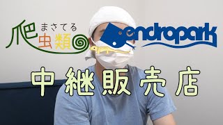 【爬虫類ショップデンドロパークさんの中継販売店】YouTubeで爬虫類即売会の中継販売店になりました♪駄菓子屋トカゲのおっさん Candy store! Gecko`s Uncle