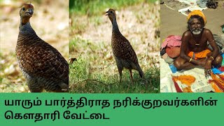 Greyfrancolin catching /நரிக்குறவரின் கௌதாரி /காடை வேட்டை/kadai vattai