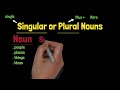 singular vs plural nouns complete guide to mastering the basics