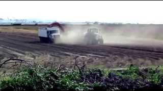 Ladner Potato Harvest 2014