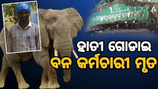 କଣ୍ଟାବାଞ୍ଜି ରେ ବନ କର୍ମଚାରୀ ମୃତ || Big Breaking || Kantabanji News || Forest News