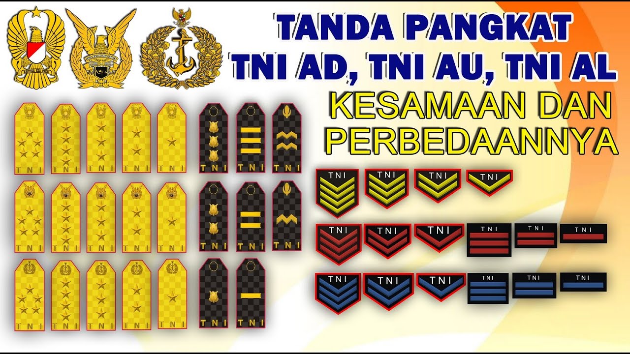 TANDA PANGKAT TNI AD, TNI AU, & TNI AL. Ada Kesamaan Dan Ada Perbedaan ...