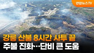 강릉 산불 8시간 사투 끝 주불 진화…단비 큰 도움 / 연합뉴스TV (YonhapnewsTV)