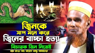 জ্বিনকে সাপ মনে করে জ্বিনের বাচ্চা হত্যা বিচারক জিন নিজেই মাওলানা বাচ্চু আনছারী New Al Hikmah Tv Waz