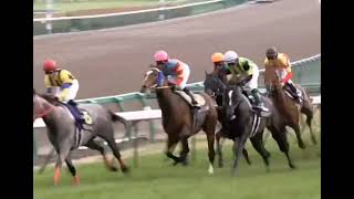 スマートファルコン 2008年 第68回皐月賞(JpnI) (優勝馬：キャプテントゥーレ) (実況：ラジオたんぱ版)