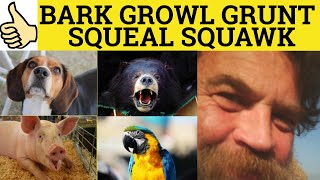 🔵 Bark Growl Grunt Squeal Squawk - Meaning and Examples - Animal Sounds