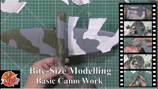 Bite size Basic Camo work