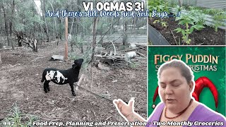 447 - Vlogmas! Day Three - Squirrelling is my forte lol - Off Grid Australia