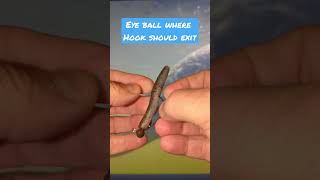 How to Rig a EWG Football Ned Jig!!