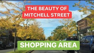 THE BEAUTY OF MITCHELL STREET |DOWNTOWN PETOSKEY,MI,USA